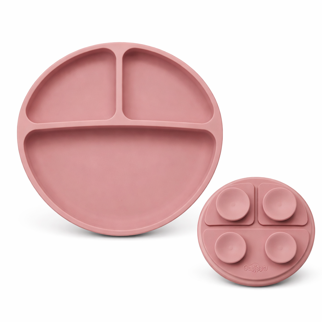 Suction Divided Plate